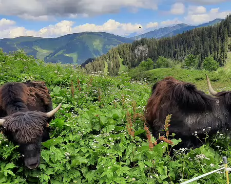 20210702-15h24m44s-20210702_152443-V3