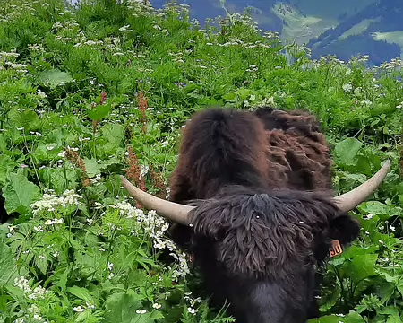 20210702-15h24m51s-20210702_152451-V3