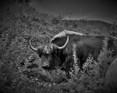 20210702-15h28m36s-20210702_152836-V3