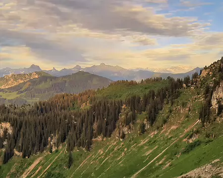 20210702-20h41m59s-20210702_204159-V3