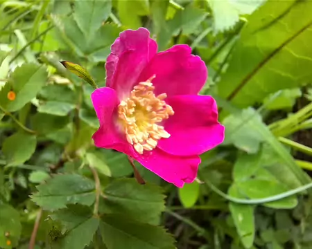 20210703-09h30m48s-20210703_093048-V3