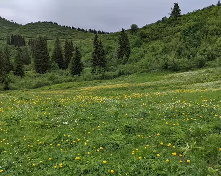 20210703-11h24m52s-PXL_20210703_092452993-V3