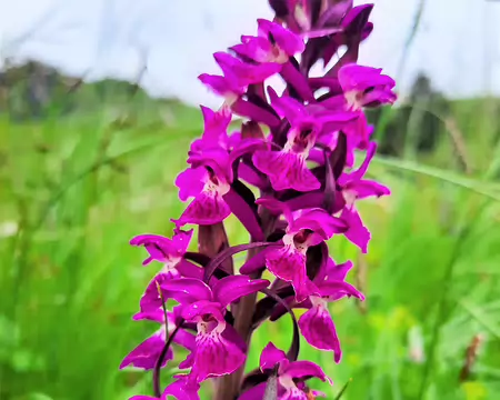 20210704-09h16m14s-20210704_091613-V3