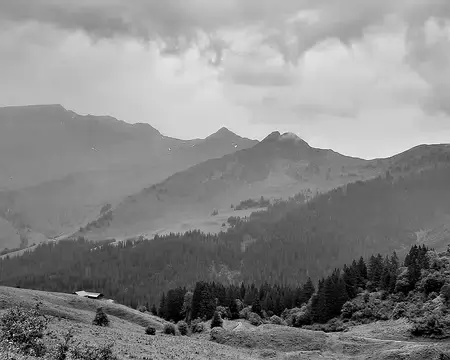 20210704-12h51m54s-20210704_125154-V3