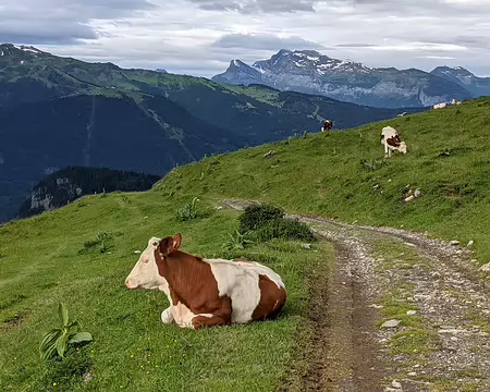 20210705-08h01m43s-PXL_20210705_060143074-V3