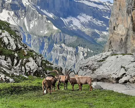 20210706-08h22m44s-20210706_082244-V3