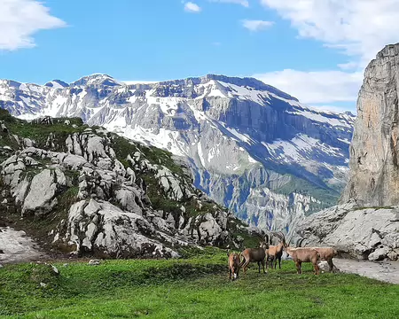 20210706-08h22m57s-20210706_082256-V3