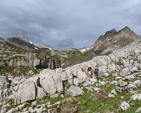 20210706-08h41m36s-PXL_20210706_064136445-V3