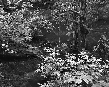 20210708-11h30m24s-20210708_113024-V3