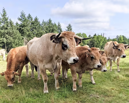 20210825-10h24m36s-PXL_20210825_082436917-V3