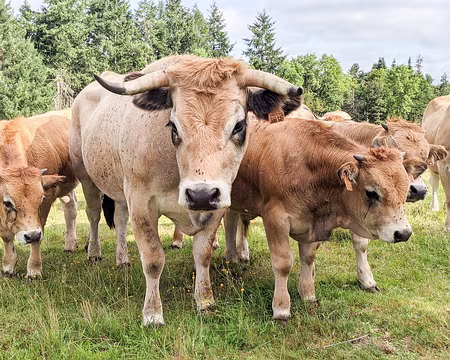 20210825-10h24m41s-PXL_20210825_082441436-V3