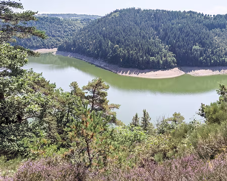 20210825-12h26m44s-PXL_20210825_102644215-V3