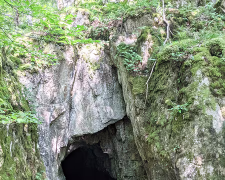 20210826-11h21m03s-PXL_20210826_092103785-V3