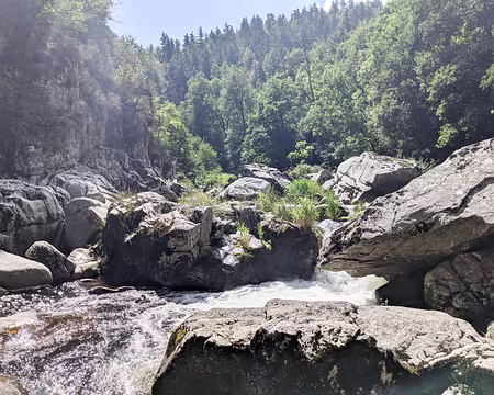 20210826-12h38m02s-PXL_20210826_103802015-V3