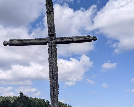 20210826-14h58m10s-PXL_20210826_125810102-V3