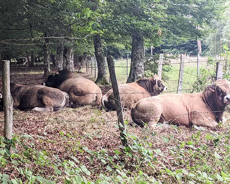 20210827-09h33m40s-PXL_20210827_073340922-V3