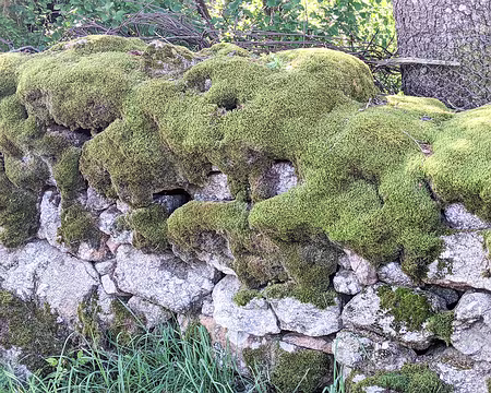 20210827-10h57m46s-PXL_20210827_085746434-V3