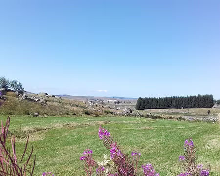 20210827-14h57m16s-20210827_145716_060303-V3