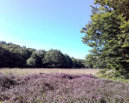 20210829-10h10m06s-20210829_101006_055934-V3