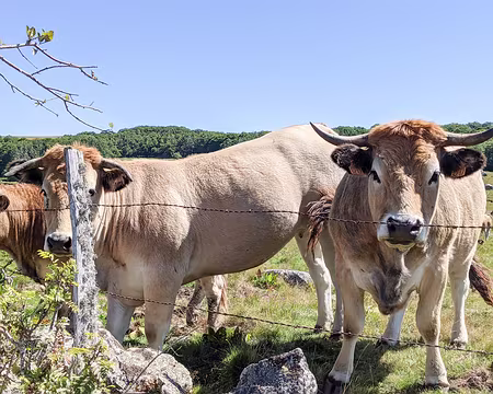 20210829-12h32m48s-PXL_20210829_103248612-V3