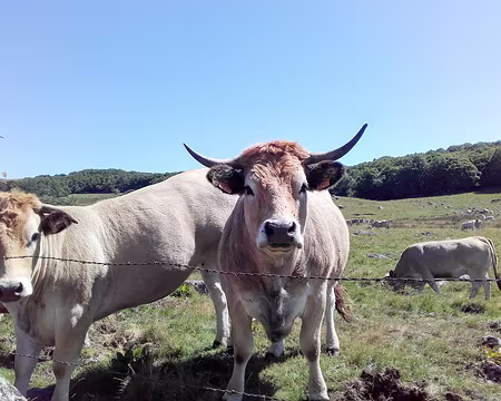 20210829-12h33m14s-20210829_123314_055909-V3