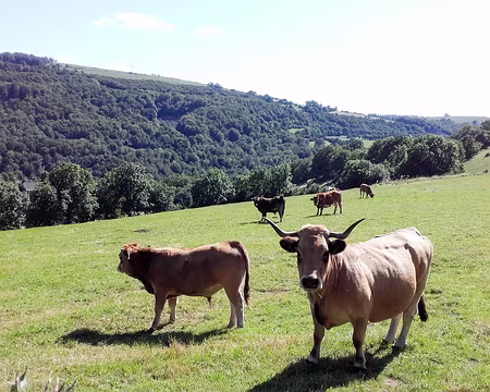 20210829-16h14m18s-20210829_161418_055839-V3