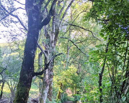 20210831-08h42m18s-PXL_20210831_064218568-V3