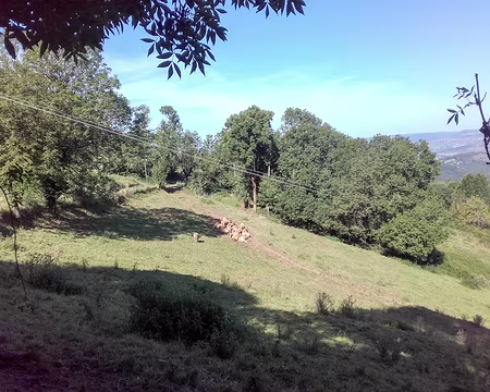 20210901-10h40m59s-20210901_104059_055433-V3