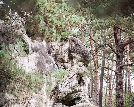 20211009-09h53m17s-IPH_1091-V3