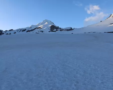 007 Remonter le glacier de Montcorvé d’W en E en direction du col du Grand Paradis sur 1,7 km jusqu'à 3200 m