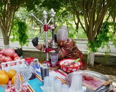 Extraction de jus de grenade dans le parc Samani.
