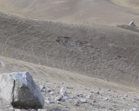 Pistes d'animaux, on dirait la terre ridée.