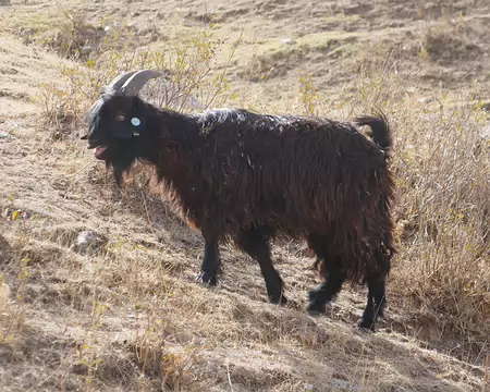 J'ai un peu chaud avec mon manteau...