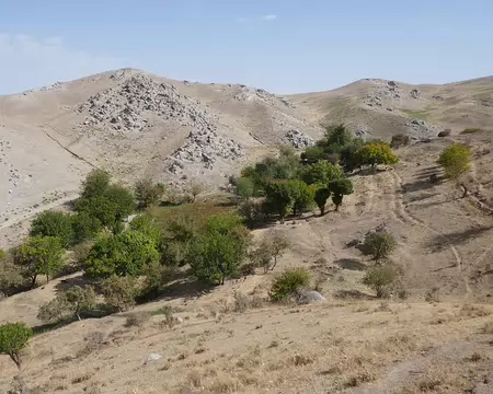 Un peu de verdure, enfin...