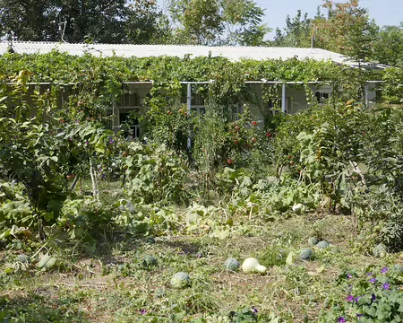 Notre hébergement à Tepakul.