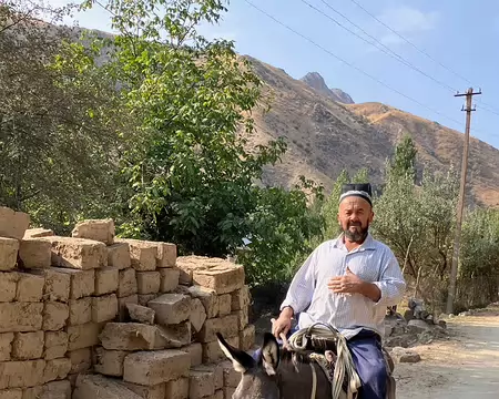 Pauvre petit âne... (YD)