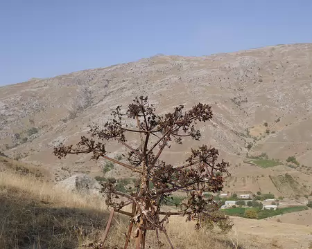 Montée au col de Takhra Karatcha, 1680 m. Tout est archi-sec.