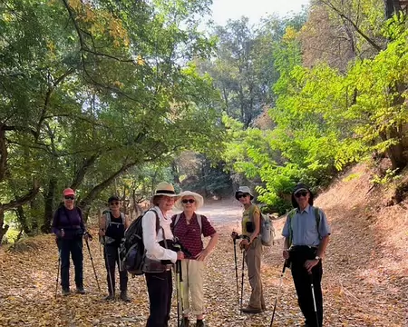 Enfin un peu de verdure ! (J)