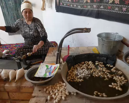 Dévidage de la soie des cocons.