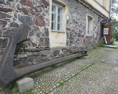 Une patte en moins ! Le choc a dû être rude...