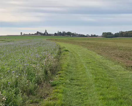 20251018_165101 En direction de Hadancourt-le-Haut-Clocher.