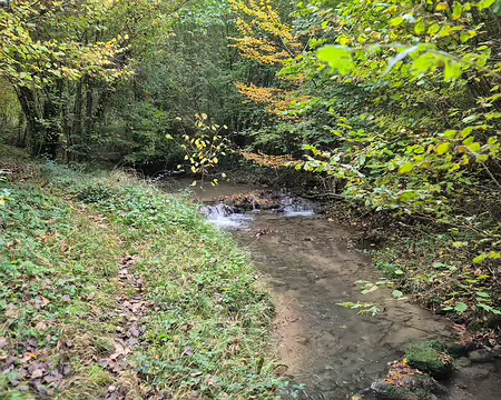 20251019_094237 Descente le long de l'Aubette en direction de Magny-en-Vexin.