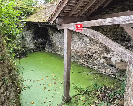 20251019_143827 Lavoir ou teinturerie ?
