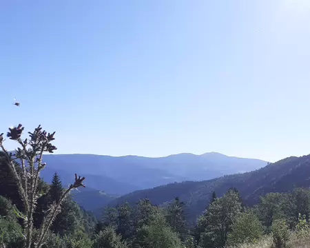 07.20260704_084018 lieu dit 