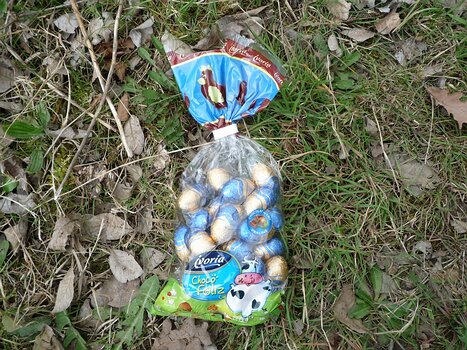 2009-04 RDV de Printemps détail de la sortie