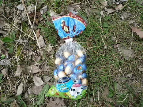 2009-04 RDV de Printemps détail de la sortie