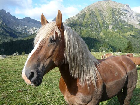 2011-07 Estos-stage Bernadette P, détail sortie