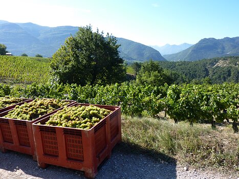 2013-09 Chemins du soleil