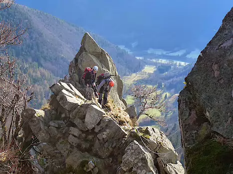 2014-01 Vosges Aleksandra P, détail sortie