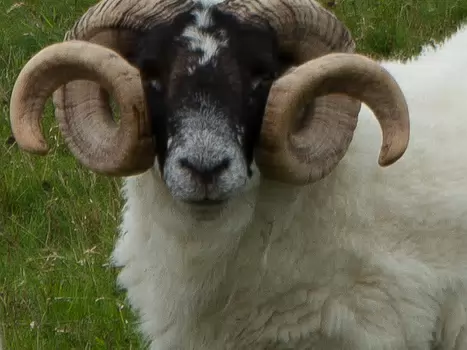 2016-08 Hébrides extérieures Alain Z, détail sortie